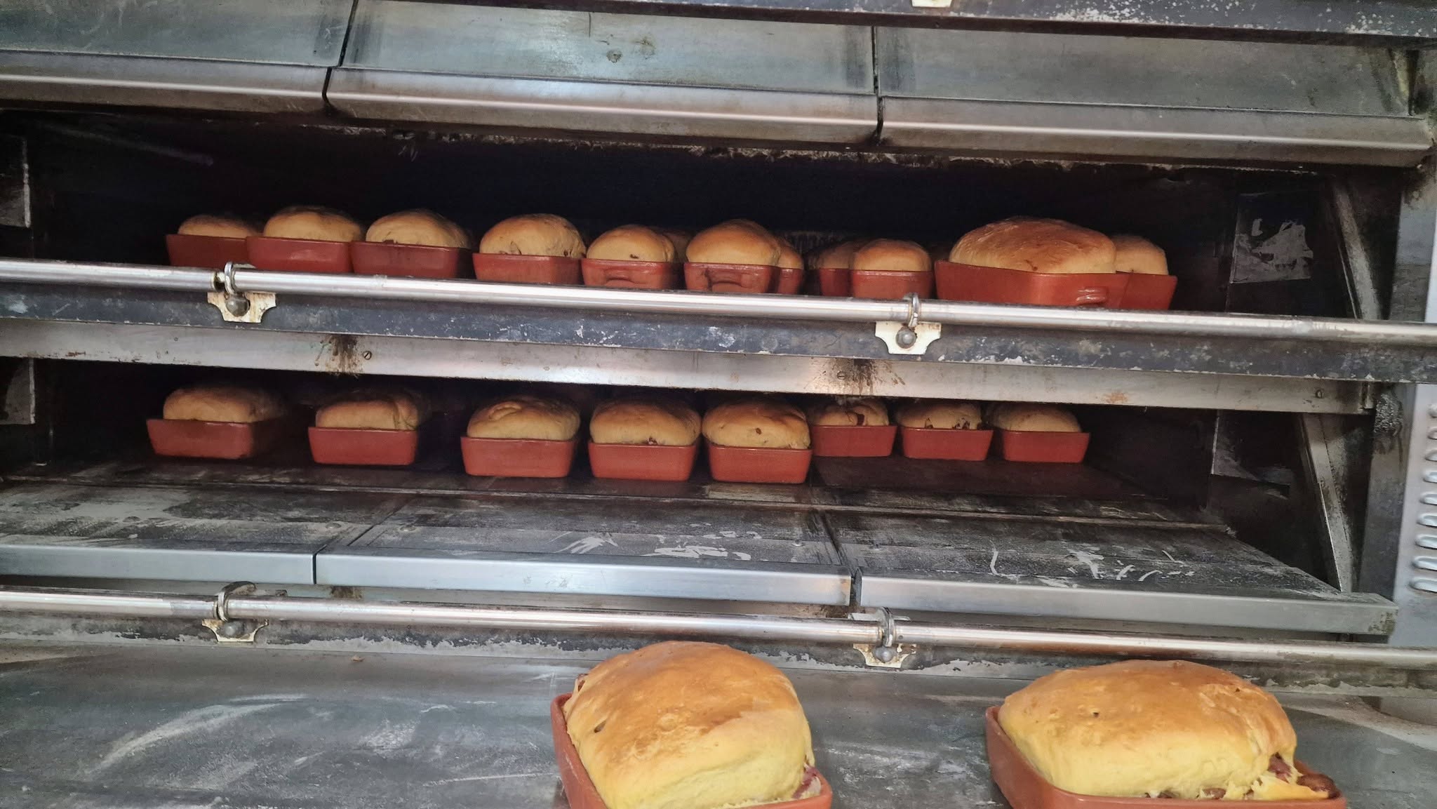 Produção real Panibom no forno